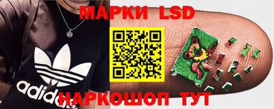 стаф Славянск-на-Кубани